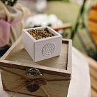 Ольга Коваленко