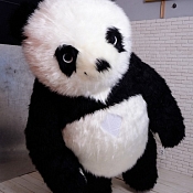 BIG SHOW, Беларусь - фото 1