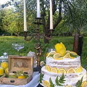 Свадебный оформитель Наталья Косовец, Беларусь - фото 1