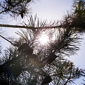 Фотограф Жанна Григорьева , Гродно - фото 1