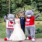 Мишки Тедди