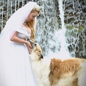 Елена Фото с русской борзой, Минск - фото 1