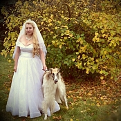 Елена Фото с русской борзой, Минск - фото 3