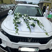 Аренда Сергей VOYAH, Брест - фото 1