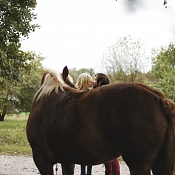 Фотограф Юлия Прудникова, Минск - фото 3