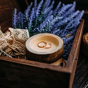 Фотограф Алесь Пятровіч, Гродно - фото 1