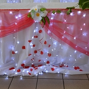 Свадебный оформитель GREEN oformitel, Беларусь - фото 1