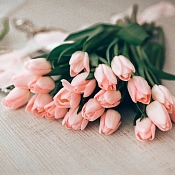 Свадебный организатор Вероника Такушевич, Минск - фото 1