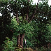 Фотограф Надежда Жижневская, Витебск - фото 2