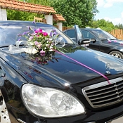 Аренда Mercedes 220, Беларусь - фото 1