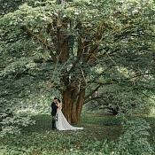 Фотограф Нина Вартанова, Минск - фото 1