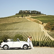 Фотограф Ольга Столярова, Минск - фото 1