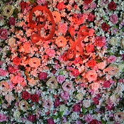 Свадебный оформитель Елена Еремеева, Беларусь - фото 1