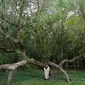 Фотограф Лариса Новак, Беларусь - фото 1