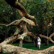 Фотограф Александра Дубик, Минск - фото 1
