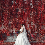 Фотограф Алексей Павловский, Минск - фото 1