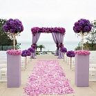 Виктория Россошных