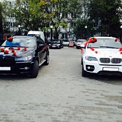 Аренда BMW X6, Гомель - фото 1