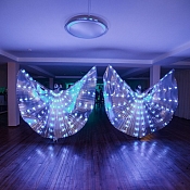 LED-SHOW  "СВЕТ ТАНЦА", Беларусь - фото 2