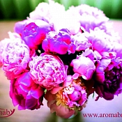 Свадебный оформитель Ароматизация  свадебных мероприятий "Аромабай", Могилев - фото 3