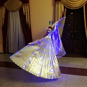 Свет-Танца Световое шоу, Беларусь - фото 2