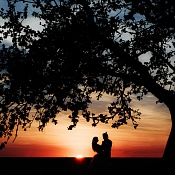 Фотограф Андрей Аполайко, Гродно - фото 1