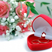 Видеограф Дмитрий Глухотко (видео-фото), Беларусь - фото 2